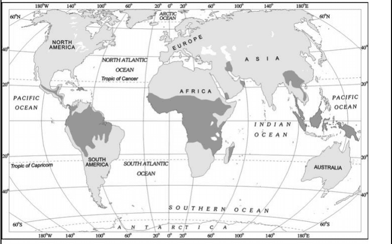 primary activities class 12 geography chapter 4 questions answers